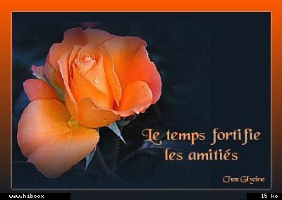 l'amitie c'est???